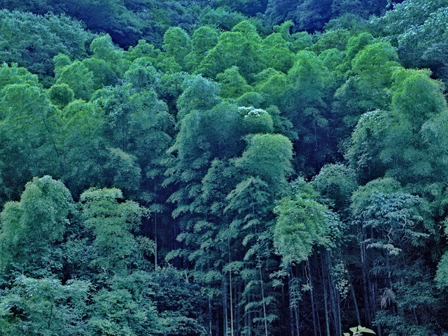 干凈壞境 干凈壞境